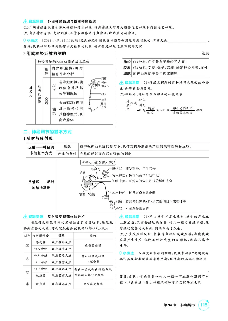 《1_精讲册-第14章神经调节_2026版教学资源包_202653高考总复习A版_广东版_2026版.广东版.选考总复习.生物.5·3A版_第3部分稳态与调节_第14章神经调节_4_PDF教参电子书》第2页预览