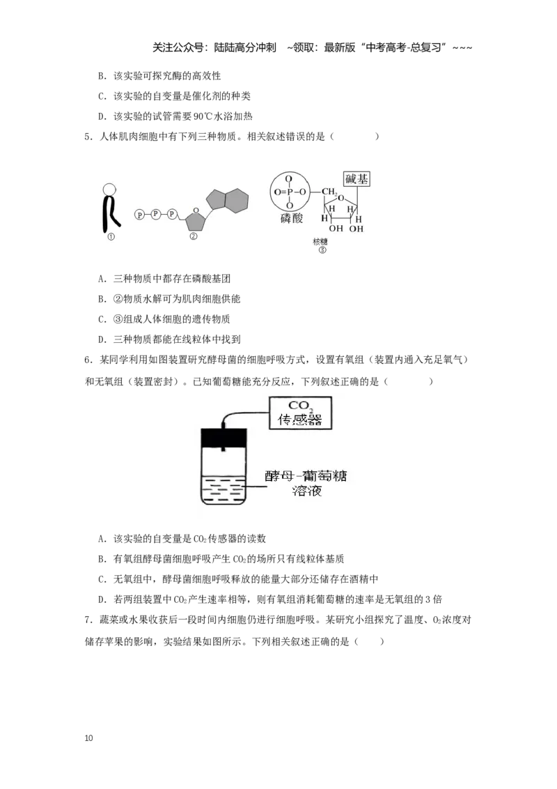 《选择题快速练（学生版）_06-生物-高考总复习_一轮复习_2026年-生物高考一轮复习_2026年高考生物一轮复习讲义+练习+课件（新教材新高考）-G55_2026版_模块检测卷》第10页预览