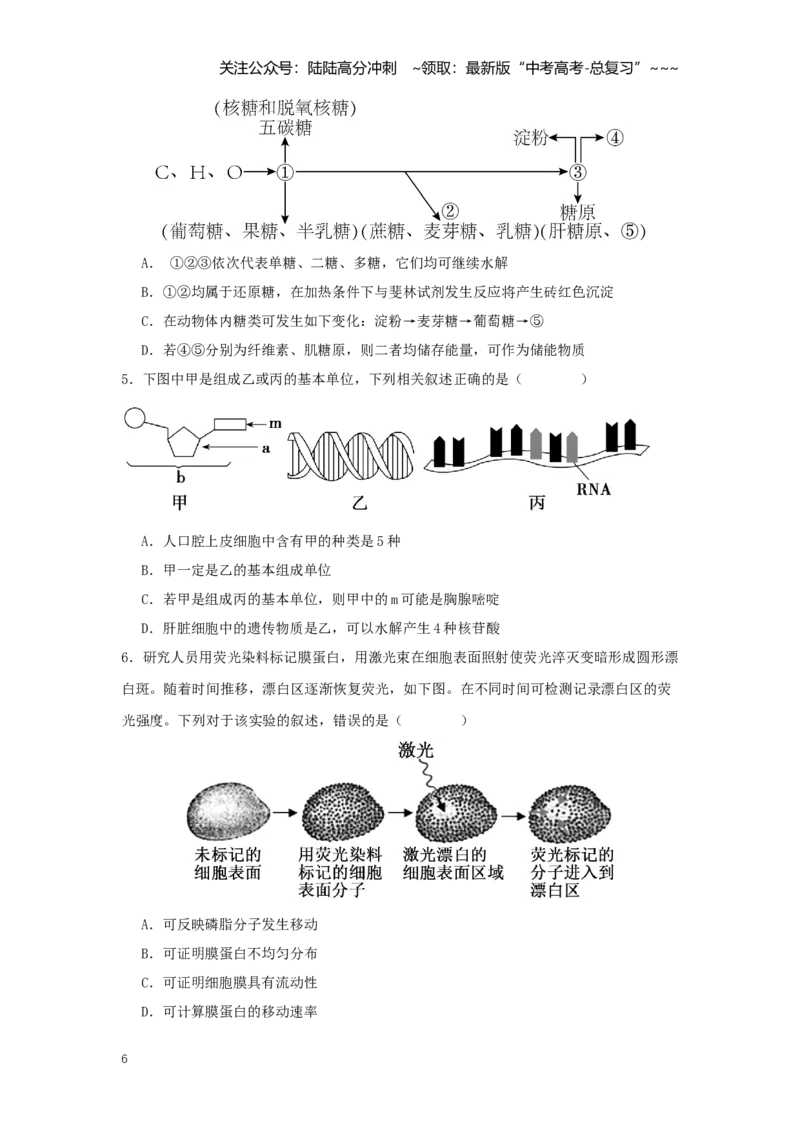 《选择题快速练（学生版）_06-生物-高考总复习_一轮复习_2026年-生物高考一轮复习_2026年高考生物一轮复习讲义+练习+课件（新教材新高考）-G55_2026版_模块检测卷》第6页预览