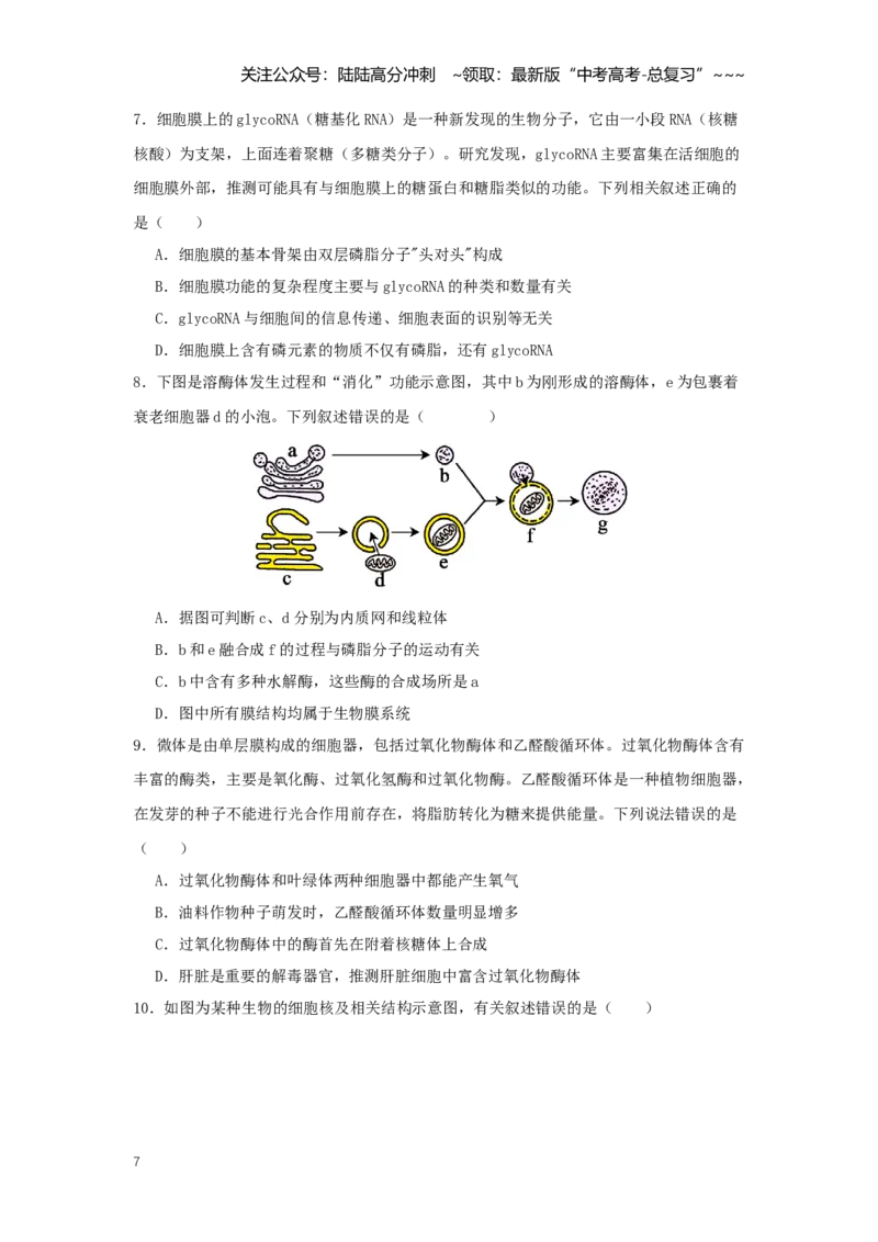 《选择题快速练（学生版）_06-生物-高考总复习_一轮复习_2026年-生物高考一轮复习_2026年高考生物一轮复习讲义+练习+课件（新教材新高考）-G55_2026版_模块检测卷》第7页预览