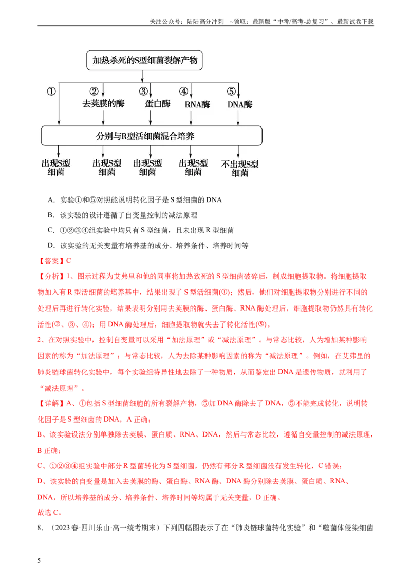 《第六单元遗传的物质基础（测试）（解析版）_06-生物-高考总复习_一轮复习_2024年_2024年高考生物一轮复习讲练测(课件+讲义+练习)（新高考）_单元测试》第5页预览