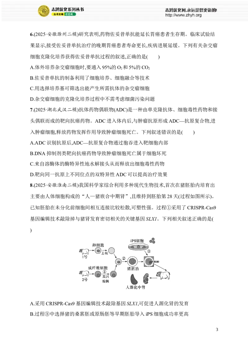 《12.生物技术与工程_2026版高中《二三轮复习+冲刺复习》_高考总复习优化设计二轮用书生物课后习题Word_课后习题_考前增分专练_知识对点小题练》第3页预览