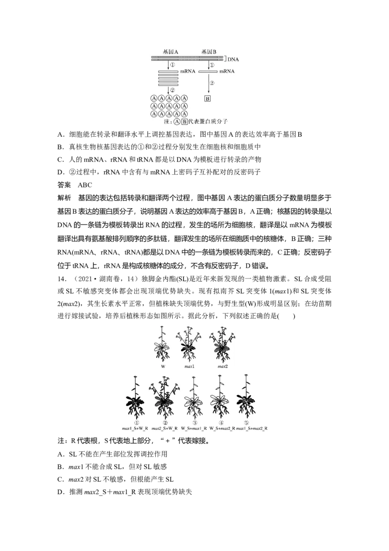 《2021年湖南省普通高中学业水平选择性考试（精校版）_2026版高中《二三轮复习+冲刺复习》_2021-2025生物高考题_2021生物高考题_教师》第7页预览