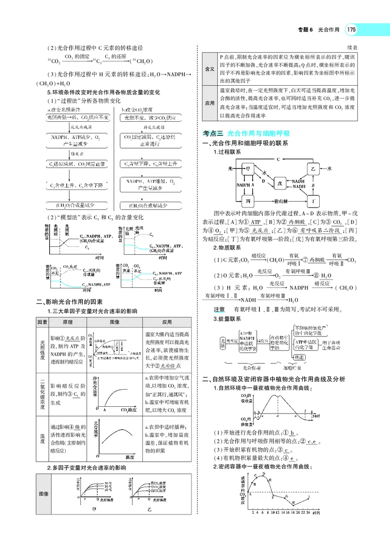《专题6　光合作用_2022版教学资源包_五年高考三年模拟_2022版新高考版选考总复习生物5·3A版_0125143739_专题6光合作用_专题PDF_专题PDF_专题电子书》第3页预览