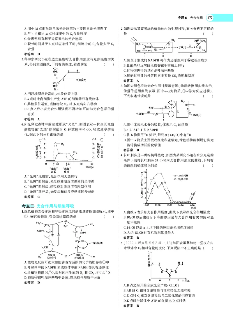 《专题6　光合作用_2022版教学资源包_五年高考三年模拟_2022版新高考版选考总复习生物5·3A版_0125143739_专题6光合作用_专题PDF_专题PDF_专题电子书》第5页预览