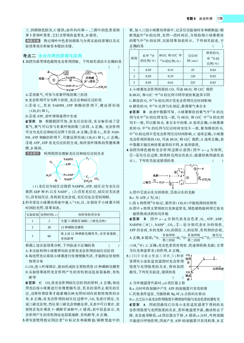 《专题6　光合作用_2022版教学资源包_五年高考三年模拟_2022版新高考版选考总复习生物5·3A版_0125143739_专题6光合作用_专题PDF_专题PDF_专题电子书》第7页预览