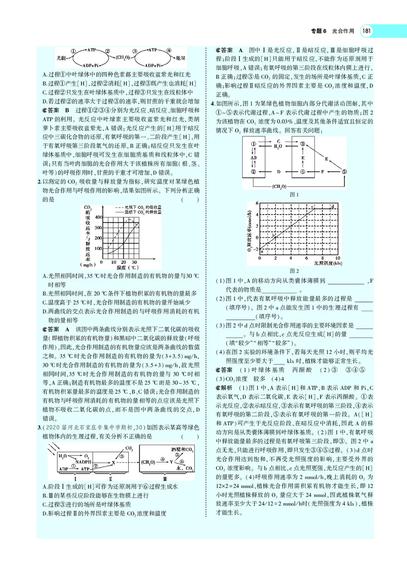 《专题6　光合作用_2022版教学资源包_五年高考三年模拟_2022版新高考版选考总复习生物5·3A版_0125143739_专题6光合作用_专题PDF_专题PDF_专题电子书》第9页预览