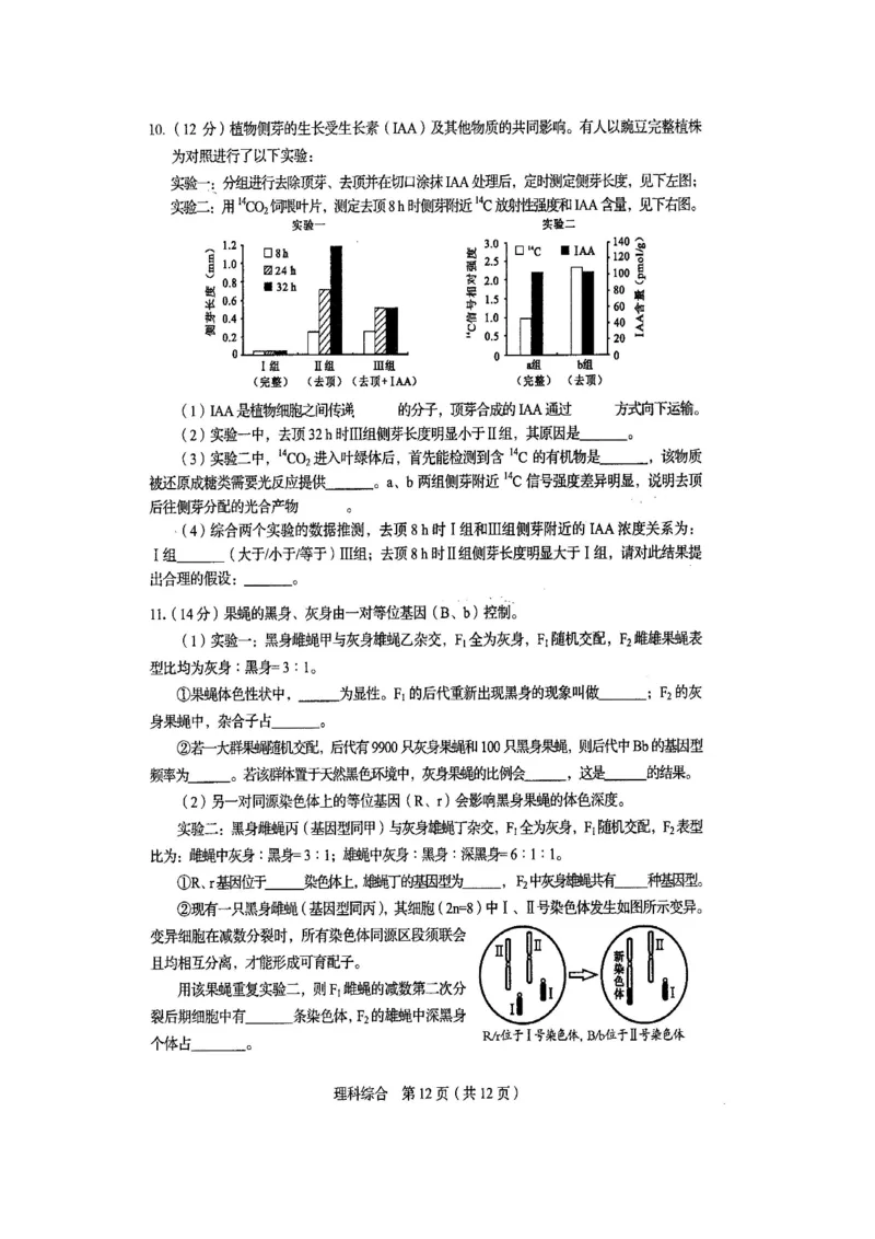 《2015年四川省高考生物试卷及答案(1)_高考一二三轮复习_生物_2027年高考生物专项_2008年-2026年生物高考真题-G427_2008-2020年高考_地方卷_四川高考生物08-20》第2页预览