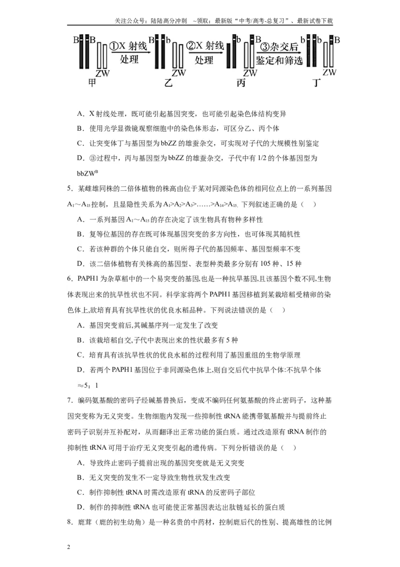 《第七单元变异与进化（测试卷）（原卷版)_06-生物-高考总复习_一轮复习_2024年_2024年高考生物一轮复习重难点专项突破_资料》第2页预览