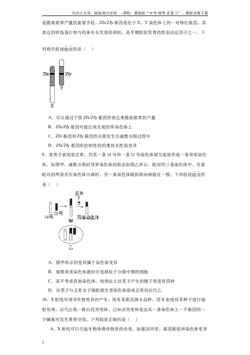 《第七单元变异与进化（测试卷）（原卷版)_06-生物-高考总复习_一轮复习_2024年_2024年高考生物一轮复习重难点专项突破_资料》第3页预览
