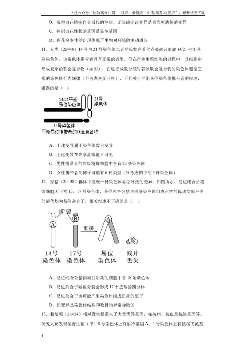 《第七单元变异与进化（测试卷）（原卷版)_06-生物-高考总复习_一轮复习_2024年_2024年高考生物一轮复习重难点专项突破_资料》第4页预览