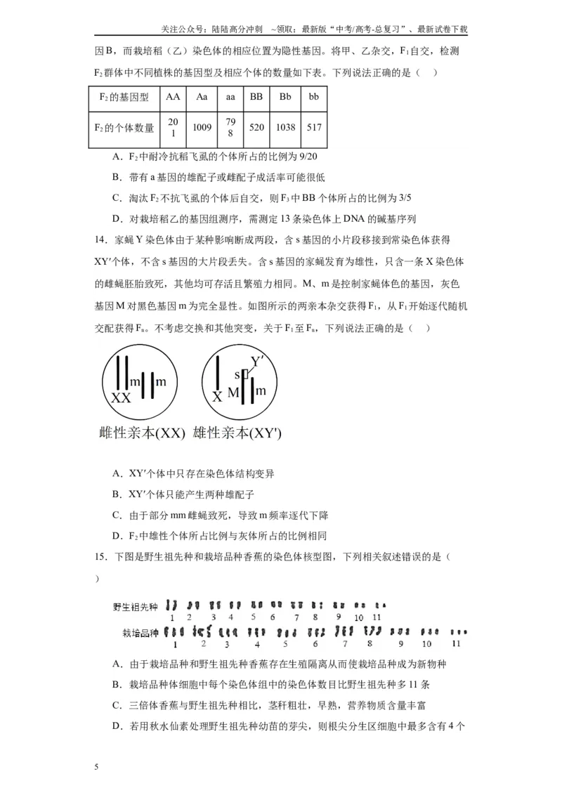 《第七单元变异与进化（测试卷）（原卷版)_06-生物-高考总复习_一轮复习_2024年_2024年高考生物一轮复习重难点专项突破_资料》第5页预览