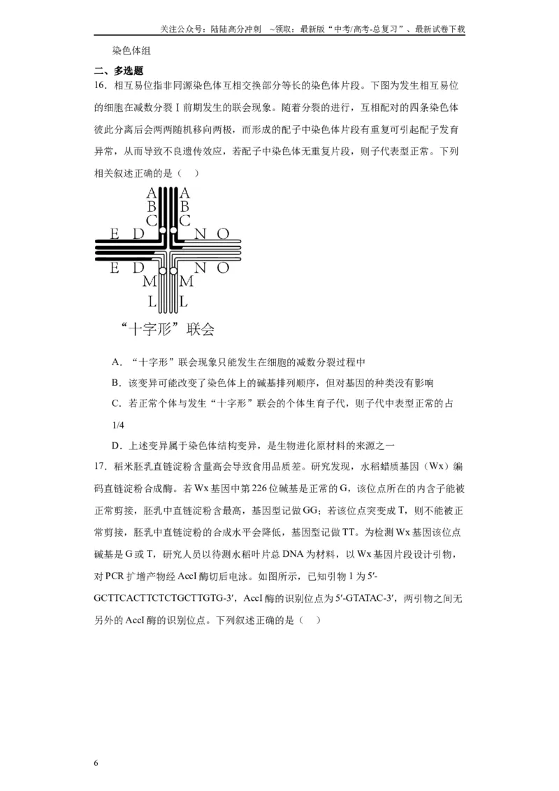 《第七单元变异与进化（测试卷）（原卷版)_06-生物-高考总复习_一轮复习_2024年_2024年高考生物一轮复习重难点专项突破_资料》第6页预览