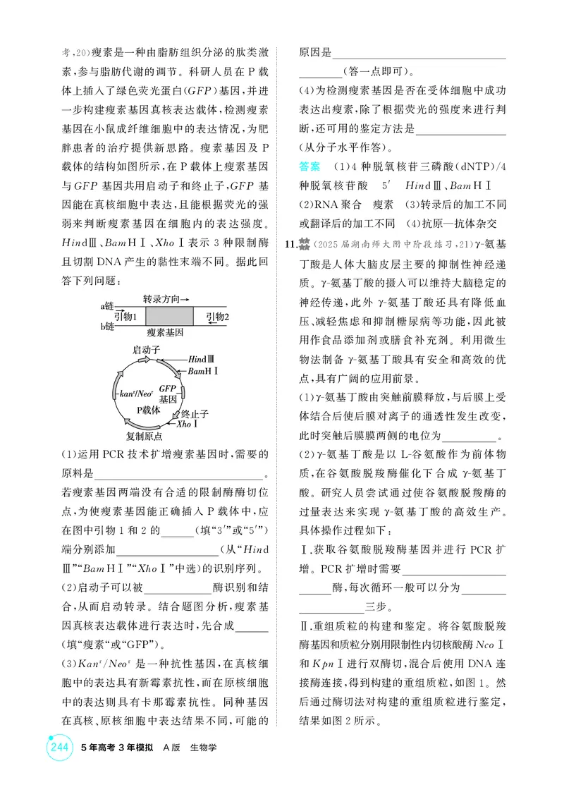 《1_精练册第24章基因工程_2026版教学资源包_202653高考总复习A版_新高考_生物_教师A版2026年.新高考版.生物.53_第5部分生物技术与工程_第24章基因工程_4_PDF教参电子书》第7页预览