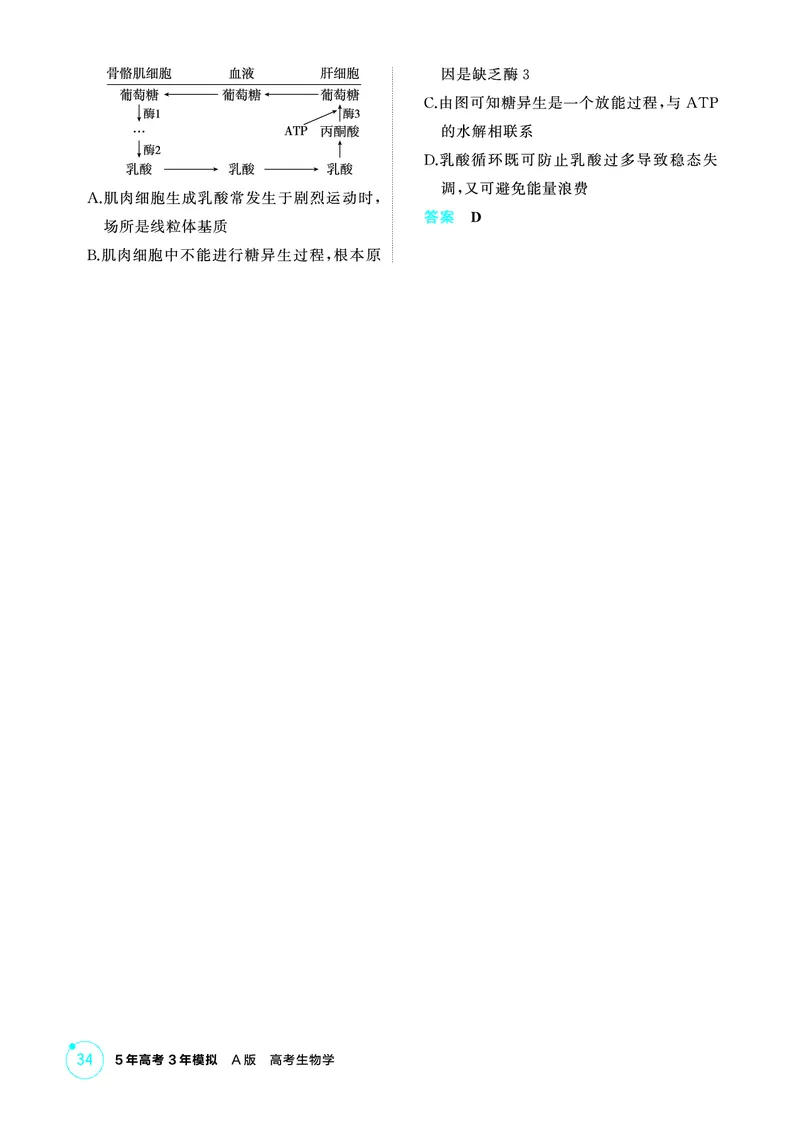 《1_精练册-第5章细胞的能量供应和利用_2026版教学资源包_202653高考总复习A版_广东版_2026版.广东版.选考总复习.生物.5·3A版_第1部分分子与细胞_第5章细胞的能量供应和利用_4_PDF教参电子书》第10页预览