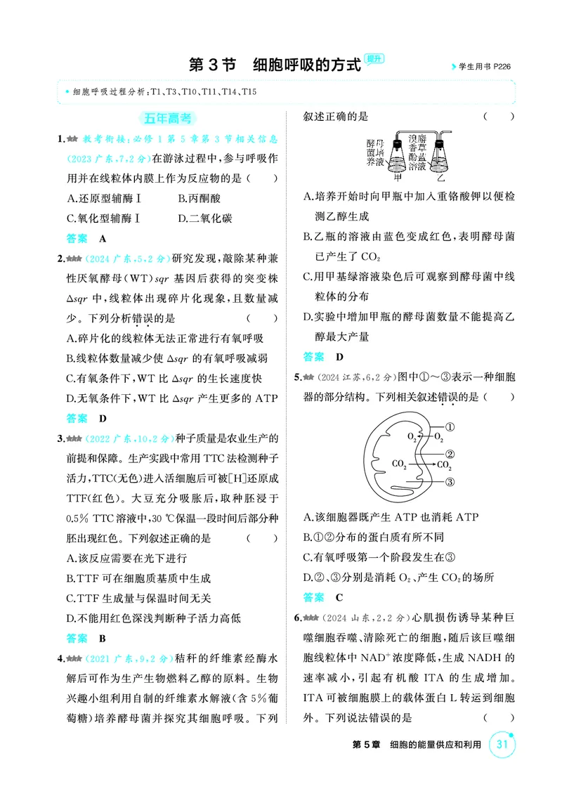 《1_精练册-第5章细胞的能量供应和利用_2026版教学资源包_202653高考总复习A版_广东版_2026版.广东版.选考总复习.生物.5·3A版_第1部分分子与细胞_第5章细胞的能量供应和利用_4_PDF教参电子书》第7页预览