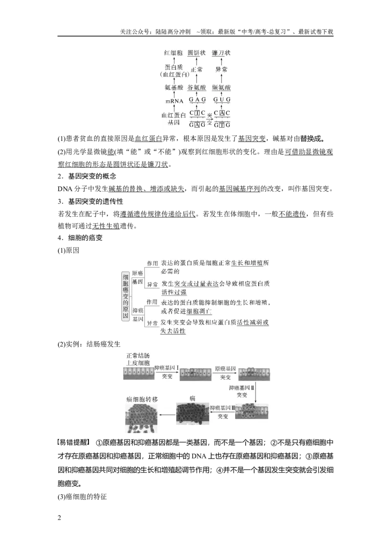 《第七单元　第33课时　基因突变和基因重组_06-生物-高考总复习_一轮复习_2025年_2025年大一轮复习讲义人教版生物_资料_1-资料_大一轮复习讲义教师专用》第2页预览