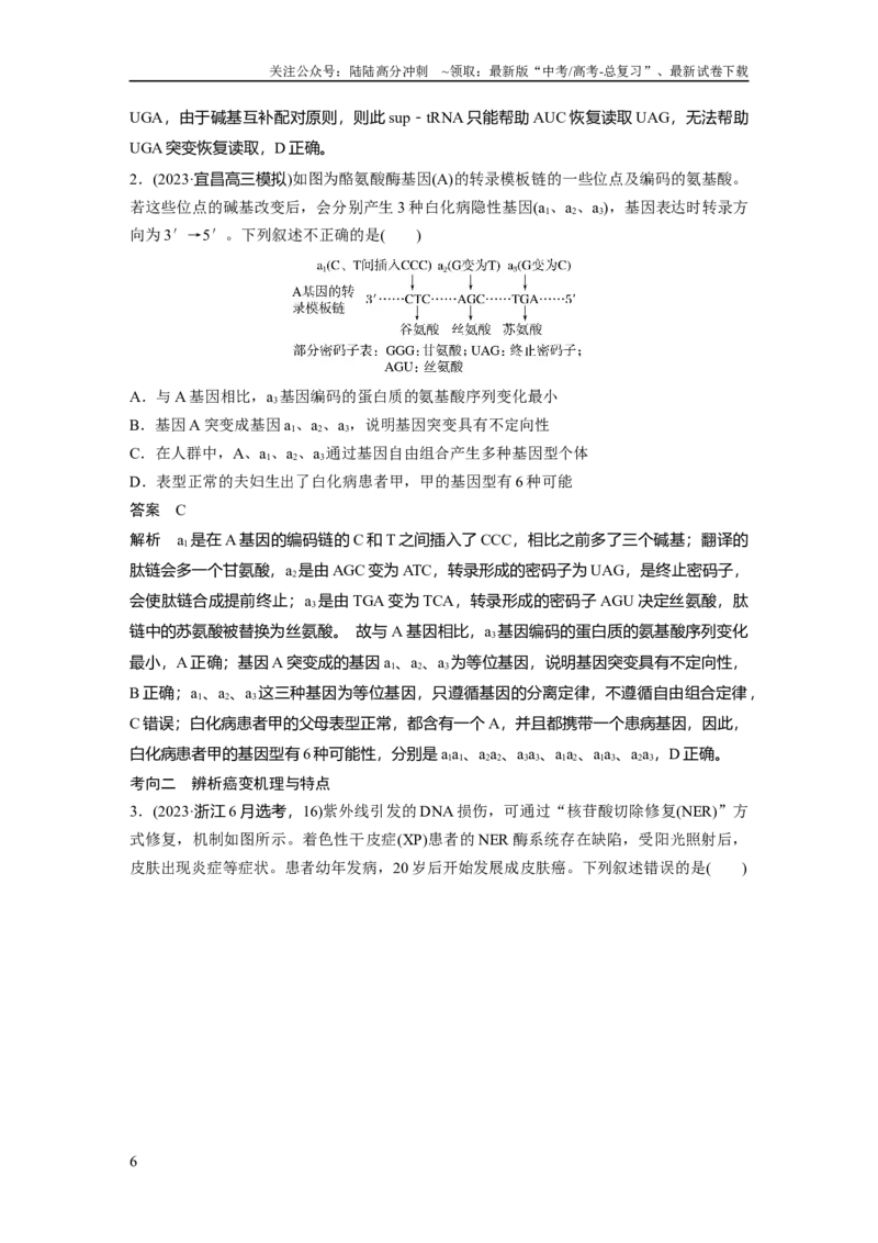 《第七单元　第33课时　基因突变和基因重组_06-生物-高考总复习_一轮复习_2025年_2025年大一轮复习讲义人教版生物_资料_1-资料_大一轮复习讲义教师专用》第6页预览