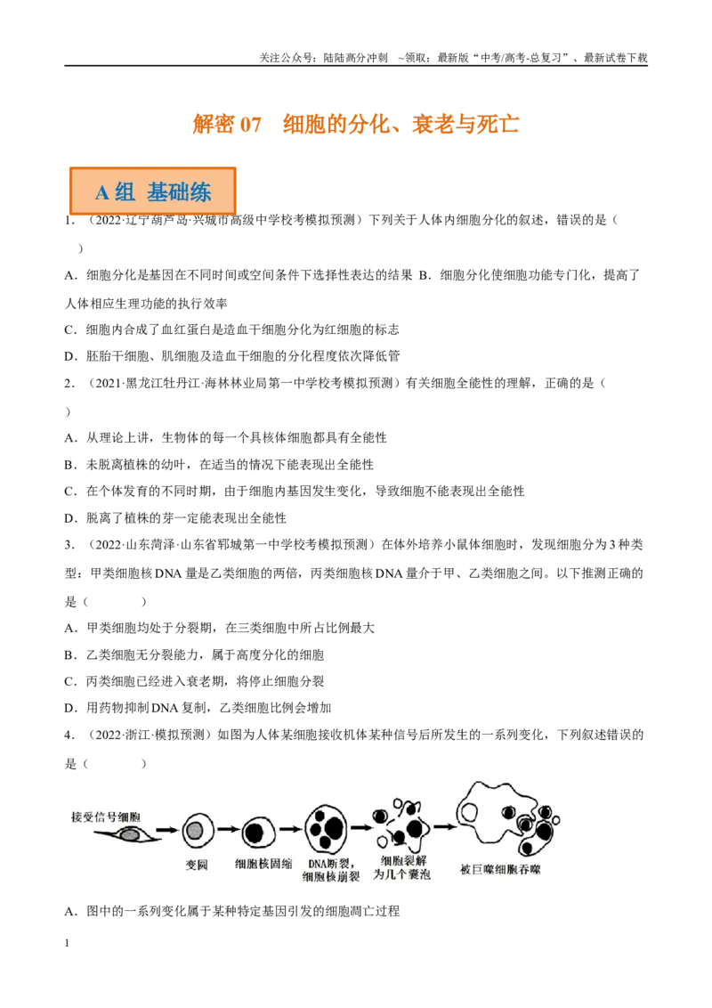 《解密07细胞的分化、衰老与死亡（分层训练）-高频考点解密2023年高考生物二轮复习讲义+分层训练（新教材）（原卷版）_06-生物-高考总复习_二轮复习_2024年_资料》第1页预览