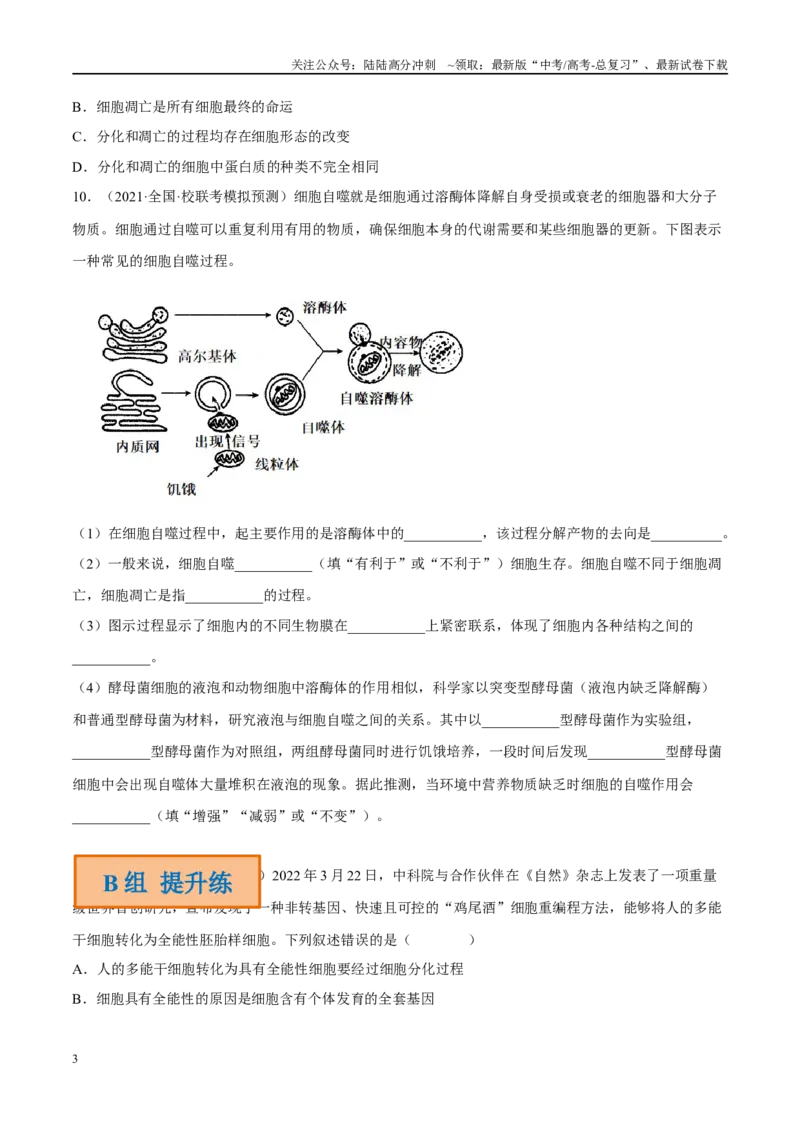 《解密07细胞的分化、衰老与死亡（分层训练）-高频考点解密2023年高考生物二轮复习讲义+分层训练（新教材）（原卷版）_06-生物-高考总复习_二轮复习_2024年_资料》第3页预览