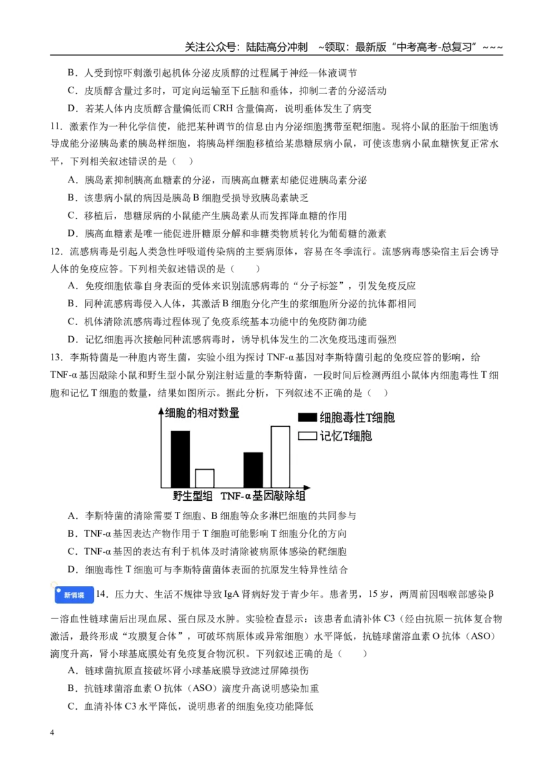 《第八单元稳态与调节（综合训练）（学生版）（安徽专用）_06-生物-高考总复习_一轮复习_2026年-生物高考一轮复习_2026年高考生物一轮课件+讲义+练习（安徽专用）-G326》第4页预览