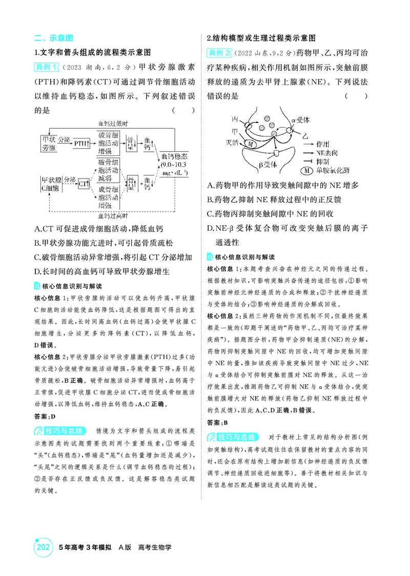 《1_精讲册-微专题2获取与分析题干信息_2026版教学资源包_202653高考总复习A版_浙江版_2026版.浙江版.选考总复习.生物.5·3A版_微专题_微专题2获取与分析题干信息_2_精讲册PDF》第2页预览