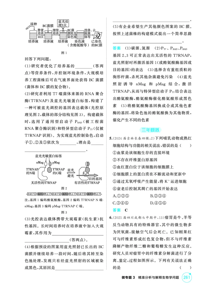《1_精练册PDF-微专题3精准分析与解释生物学问题_2026版教学资源包_202653高考总复习A版_山东版_2026版.山东版.选考总复习.生物.5·3A版_微专题_微专题3精准分析与解释生物学问题_1_精练册PDF》第2页预览