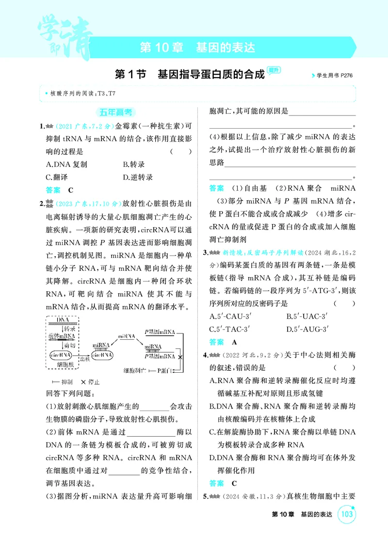 《1_精练册-第10章基因的表达_2026版教学资源包_202653高考总复习A版_广东版_2026版.广东版.选考总复习.生物.5·3A版_第2部分遗传与进化_第10章基因的表达_4_PDF教参电子书》第1页预览