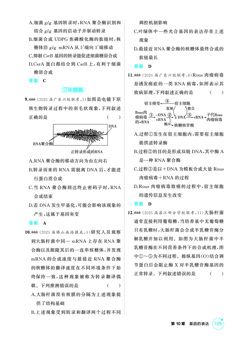 《1_精练册-第10章基因的表达_2026版教学资源包_202653高考总复习A版_广东版_2026版.广东版.选考总复习.生物.5·3A版_第2部分遗传与进化_第10章基因的表达_4_PDF教参电子书》第3页预览