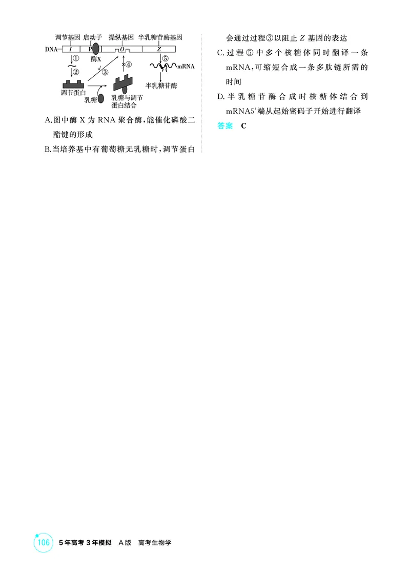 《1_精练册-第10章基因的表达_2026版教学资源包_202653高考总复习A版_广东版_2026版.广东版.选考总复习.生物.5·3A版_第2部分遗传与进化_第10章基因的表达_4_PDF教参电子书》第4页预览