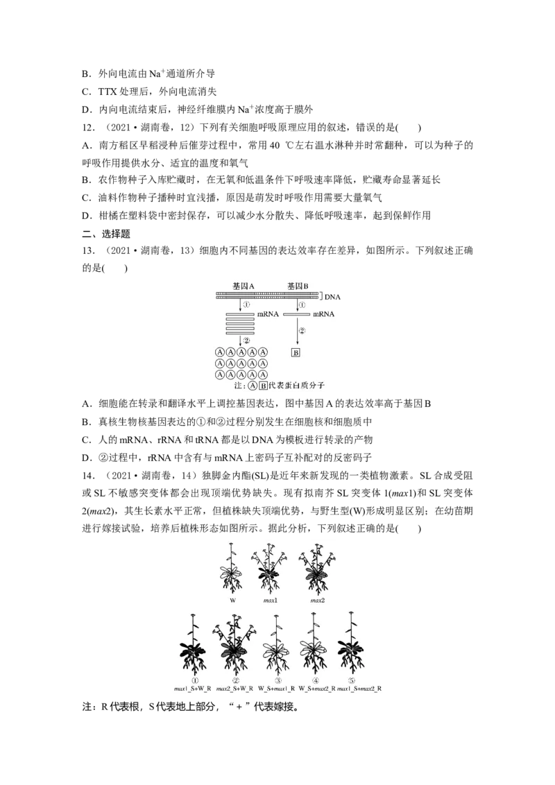 《2021年湖南省普通高中学业水平选择性考试（精校版）(1)_2026版高中《二三轮复习+冲刺复习》_2021-2025生物高考题_2021生物高考题_学生》第4页预览