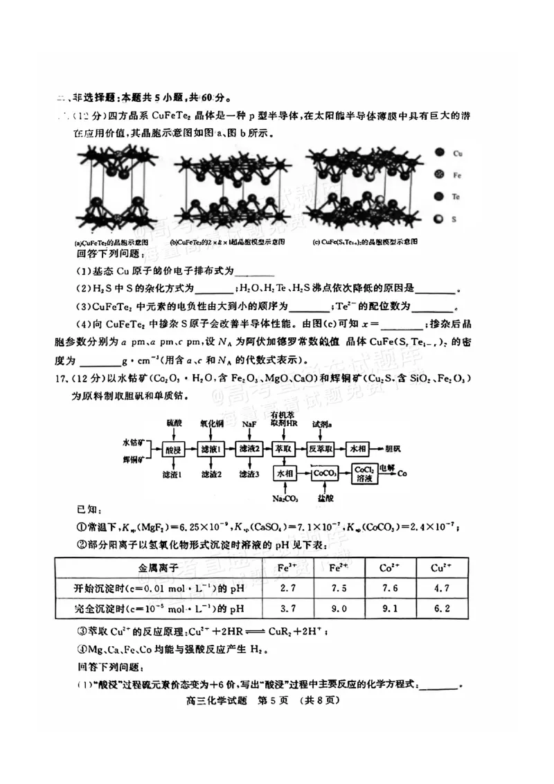 《41_05化学山东济南市（二模）试卷+标答评分细则_2025版教学资源包_（总复习系列）2025版《5年高考3年模拟》新高考版B版（⭐全科）_2025版.新高考新教材版.选考总复习.化学.5·3B版》第5页预览