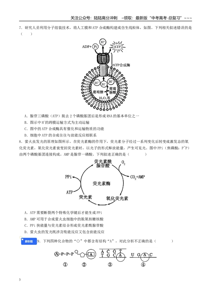 《第三单元细胞的能量供应和利用（综合训练）（学生版）（全国通用）_06-生物-高考总复习_一轮复习_2026年-生物高考一轮复习_2026年高考生物一轮复习讲义+练习+课件（新教材新高考）-G55》第3页预览