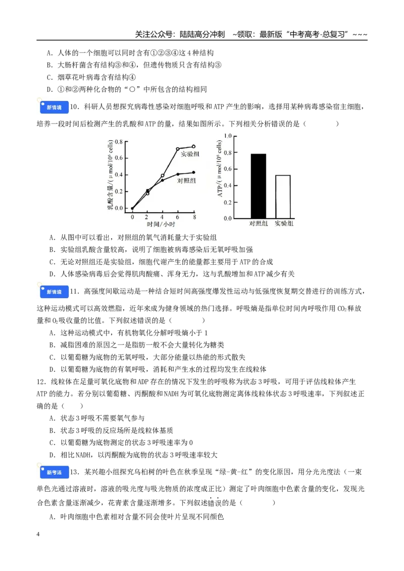《第三单元细胞的能量供应和利用（综合训练）（学生版）（全国通用）_06-生物-高考总复习_一轮复习_2026年-生物高考一轮复习_2026年高考生物一轮复习讲义+练习+课件（新教材新高考）-G55》第4页预览