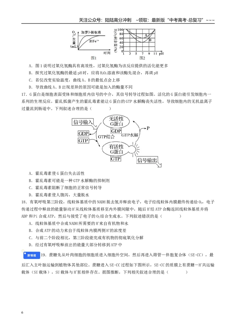 《第三单元细胞的能量供应和利用（综合训练）（学生版）（全国通用）_06-生物-高考总复习_一轮复习_2026年-生物高考一轮复习_2026年高考生物一轮复习讲义+练习+课件（新教材新高考）-G55》第6页预览