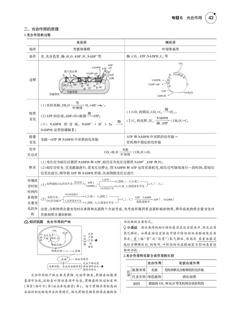 《5_2025版5·3B版新高考版教师用书PDF_2025版教学资源包_（总复习系列）2025版《5年高考3年模拟》新高考版B版（⭐全科）_2025版.新高考新教材版.选考总复习.生物.5·3B版_专题6光合作用》第2页预览