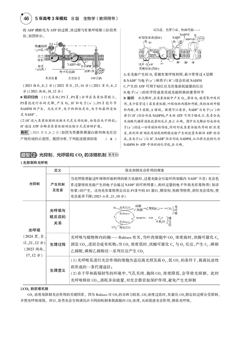 《5_2025版5·3B版新高考版教师用书PDF_2025版教学资源包_（总复习系列）2025版《5年高考3年模拟》新高考版B版（⭐全科）_2025版.新高考新教材版.选考总复习.生物.5·3B版_专题6光合作用》第5页预览