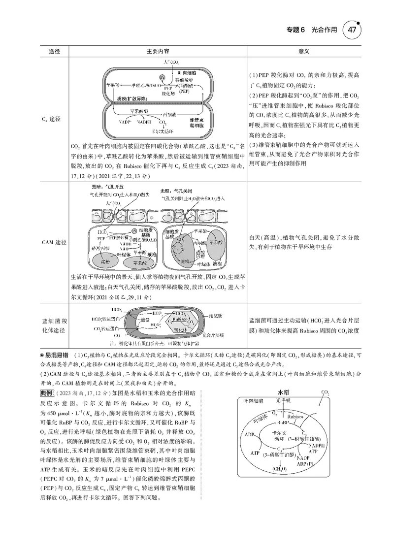 《5_2025版5·3B版新高考版教师用书PDF_2025版教学资源包_（总复习系列）2025版《5年高考3年模拟》新高考版B版（⭐全科）_2025版.新高考新教材版.选考总复习.生物.5·3B版_专题6光合作用》第6页预览