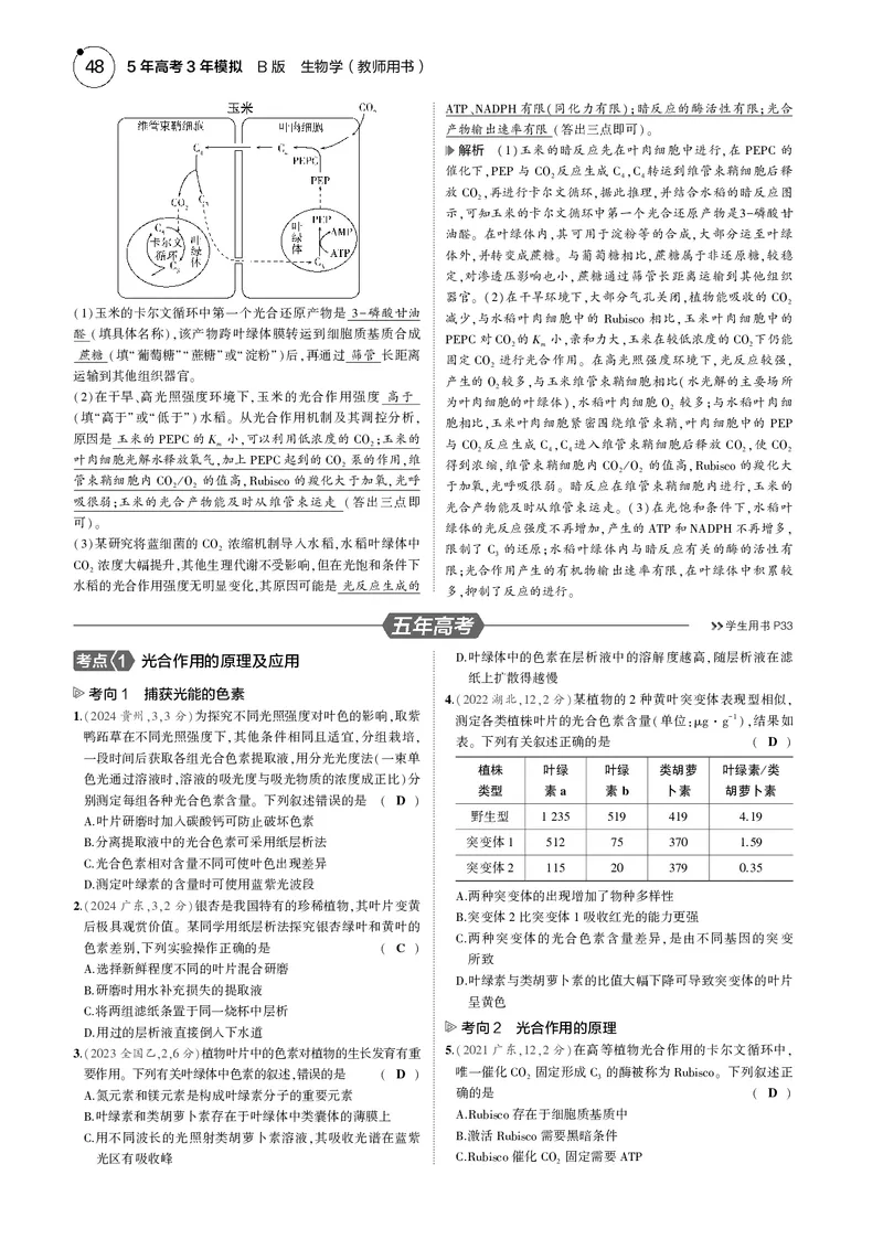 《5_2025版5·3B版新高考版教师用书PDF_2025版教学资源包_（总复习系列）2025版《5年高考3年模拟》新高考版B版（⭐全科）_2025版.新高考新教材版.选考总复习.生物.5·3B版_专题6光合作用》第7页预览