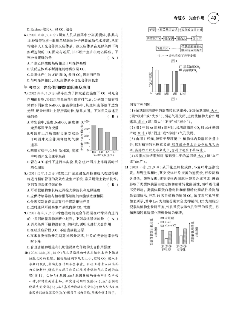 《5_2025版5·3B版新高考版教师用书PDF_2025版教学资源包_（总复习系列）2025版《5年高考3年模拟》新高考版B版（⭐全科）_2025版.新高考新教材版.选考总复习.生物.5·3B版_专题6光合作用》第8页预览