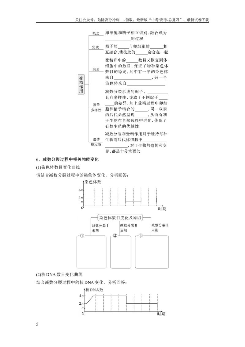《第四单元　第21课时　减数分裂和受精作用_06-生物-高考总复习_一轮复习_2025年_2025年大一轮复习讲义人教版生物_资料_1-资料_大一轮复习讲义学生专用_2025大一轮复习讲义》第5页预览