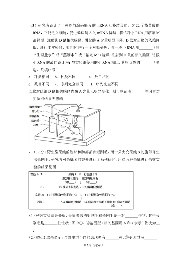 《2015年北京市高考生物试卷（原卷版）(1)_高考一二三轮复习_生物_2027年高考生物专项_2008年-2026年生物高考真题-G427_2008-2020年高考_地方卷_北京高考生物08-21_A4word版》第3页预览