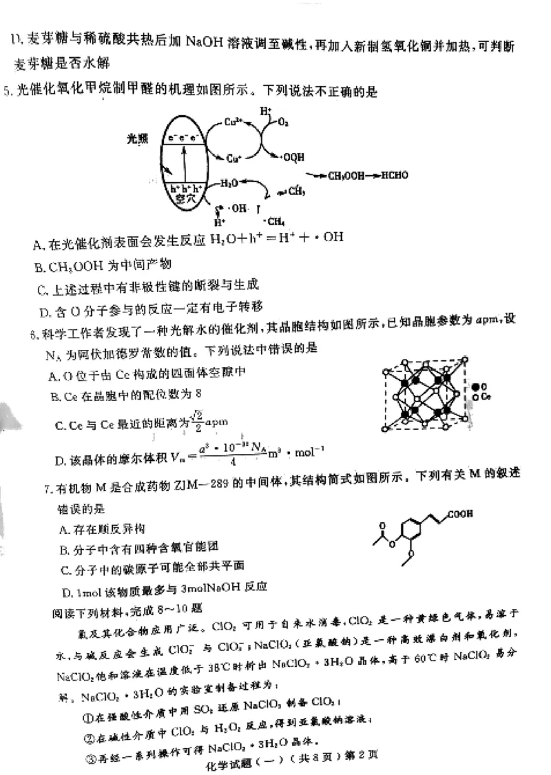 《54_05化学山东聊城市（一模）试卷+标答评分细则_2025版教学资源包_（总复习系列）2025版《5年高考3年模拟》新高考版B版（⭐全科）_2025版.新高考新教材版.选考总复习.化学.5·3B版》第2页预览