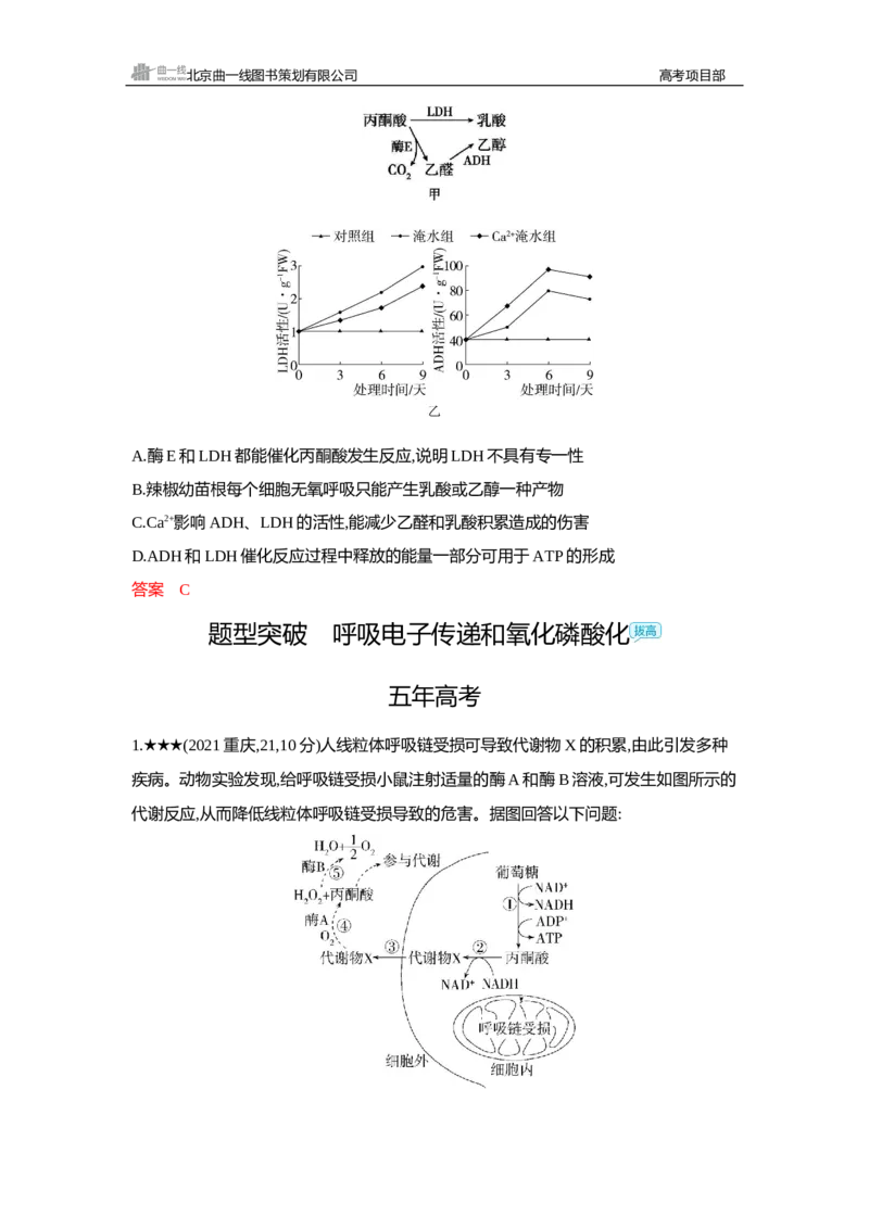 《1_精练册Word—第5章细胞的能量供应和利用_2026版教学资源包_202653高考总复习A版_新高考_生物_教师A版2026年.新高考版.生物.53_第1部分分子与细胞_第5章细胞的能量供应和利用_3_习题WORD》第10页预览