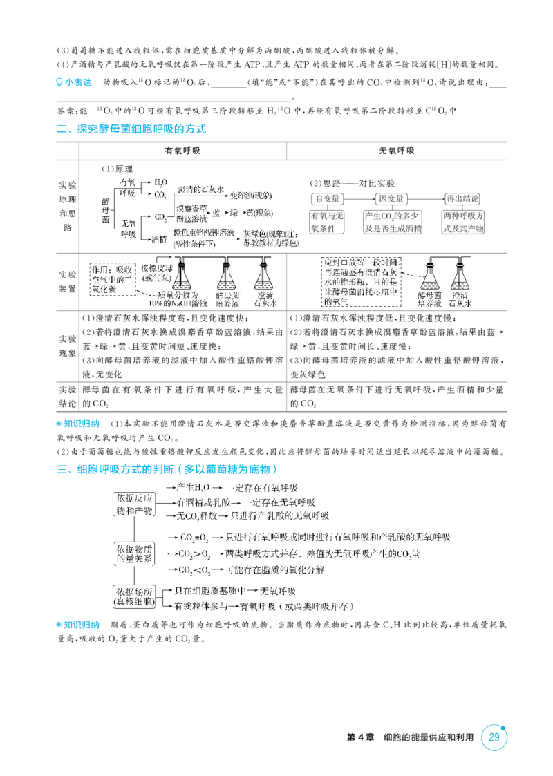 《1_精讲册-第4章　细胞的能量供应和利用_2026版教学资源包_202653高考总复习A版_江苏版_2026版.江苏版.选考总复习.生物.5·3A版_第1部分分子与细胞_第4章细胞的能量供应和利用_2_精讲册PDF》第6页预览