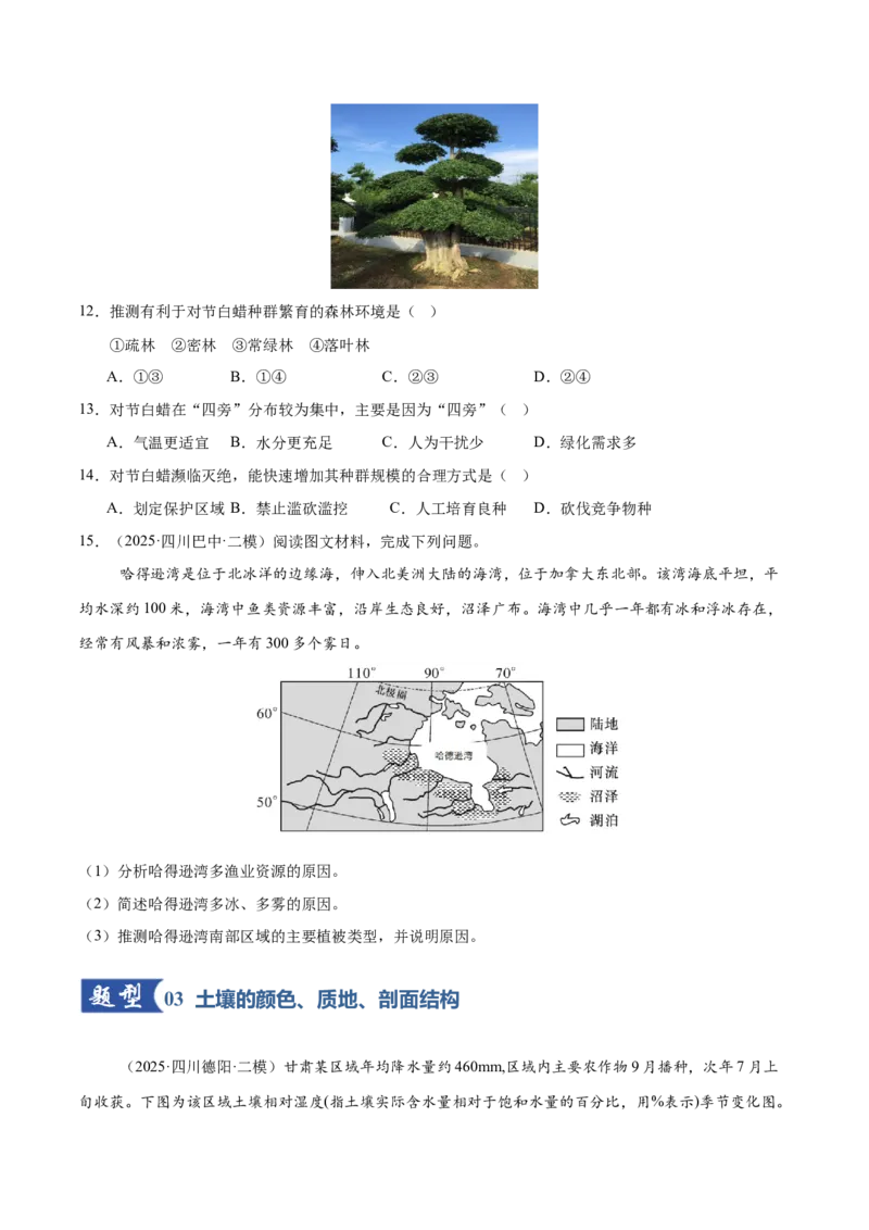 《第16讲植被与土壤（专项训练）（四川专用）（学生版）_地理_2026年_2026年高考地理一轮课件+讲义+练习（四川专用）-G335》第9页预览