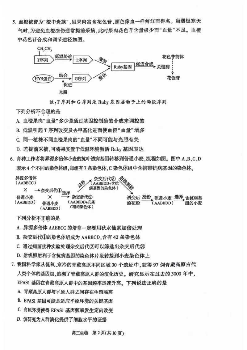 《3_2024北京市朝阳二模（试卷+答案）_2025版教学资源包_（总复习系列）2025版《5年高考3年模拟》新高考版B版（⭐全科）_2025版.新高考新教材版.选考总复习.生物.5·3B版_1_资源拓展》第2页预览