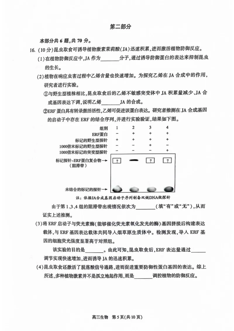 《3_2024北京市朝阳二模（试卷+答案）_2025版教学资源包_（总复习系列）2025版《5年高考3年模拟》新高考版B版（⭐全科）_2025版.新高考新教材版.选考总复习.生物.5·3B版_1_资源拓展》第5页预览