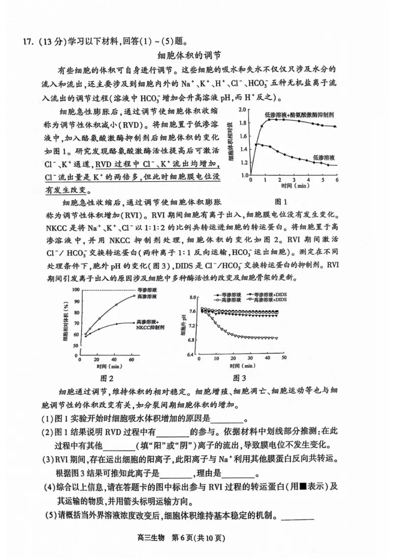 《3_2024北京市朝阳二模（试卷+答案）_2025版教学资源包_（总复习系列）2025版《5年高考3年模拟》新高考版B版（⭐全科）_2025版.新高考新教材版.选考总复习.生物.5·3B版_1_资源拓展》第6页预览