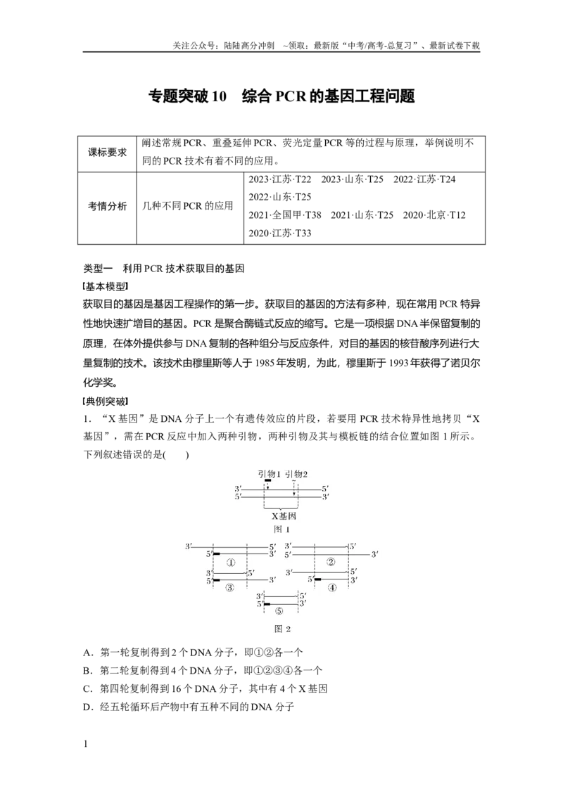 《第十单元　专题突破10　综合PCR的基因工程问题_06-生物-高考总复习_一轮复习_2025年_2025年大一轮复习讲义人教版生物_资料_1-资料_大一轮复习讲义学生专用_2025大一轮复习讲义》第1页预览